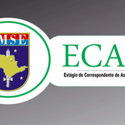 ECAM 2015 logo